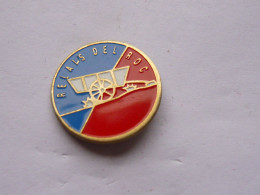 Delcampe - Pins RELAIS DEL ROC HOTEL RESTAURANT A RQUEFORT DES CORBIERES 91 - Cities