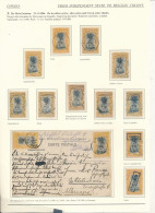 Delcampe - BELGIAN CONGO PALM TREE COB 20 USED SMALL STUDY - Used Stamps