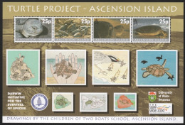Delcampe - Ascension 2000 - Mi-Nr. Block 40 I ** - MNH - Schildkröten / Turtles - Ascension