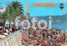 Delcampe - PHOTO POSTCARD ESPAÑA SPAIN CARTE POSTALE BENIDORM BEACH PLAGE - Sonstige & Ohne Zuordnung