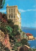 Delcampe - MONACO - LE MUSEE OCEANOGRAPHIQUE - Oceanographic Museum