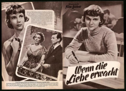 Delcampe - Filmprogramm IFB Nr. 2114, Wenn Die Liebe Erwacht, Sickan Carlsson, Pia Skoglund, Regie: S. Bauman - Magazines