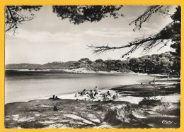 Delcampe - CPSM ILE DE PORQUEROLLES - PLAGE D'ARGENT ANIMATION 1966 - Porquerolles