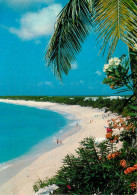 Delcampe - GUADELOUPE ST MARTIN Long Beach Ed Hachette Antilles (scan Recto-verso) KEVREN0177 - Saint Martin