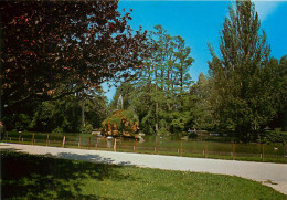 Delcampe - DROME MONTELIMAR LE PARC LE JET D EAU (scan Recto-verso) KEVREN0260 - Montelimar