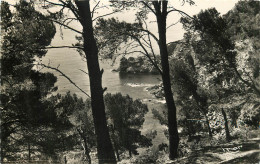 Delcampe - 83 ILE DE PORQUEROLLES - Porquerolles