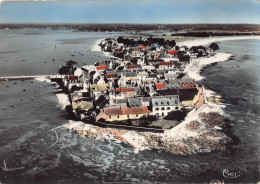 Delcampe - ILE TUDY     VUE AERIENNE - Ile Tudy