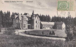 Delcampe - Libramont - Chateau De Ronfay-Ochamps - Circulé - TBE - Libramont-Chevigny