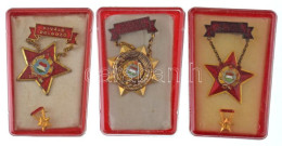 Delcampe - DN (1970-1980 K) "Kiváló Dolgozó" (3xklf) Aranyozott Bronz Kitüntetés, Nem Hozzá Való Rátéttel, Műanyag Tokban + Zománco - Sin Clasificación