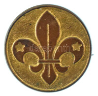 Delcampe - DN Bronz Cserkész Gomblyukjelvény (15mm) T:XF Patina - Sin Clasificación