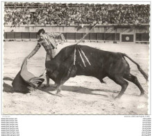 Delcampe - 012ch  CORRIDA LOT DE 2 CPSM PASSE ET TRAIN D'ARRASTRE - Corrida