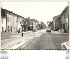 Delcampe - 14paL    84 CHEVAL BLANC LE CANEBIERE (VUE PAS COURANTE) - Cadenet