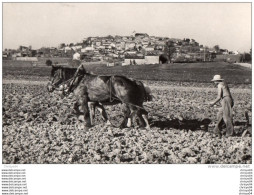 Delcampe - 63Ch   47 Monflanquin Vue Generale Laboureur Cheval - Monflanquin
