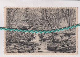 Delcampe - Environs De Hamayde - Libin