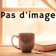 Delcampe - Doctrine Chrétienne En Forme De Lectures De Piété - Lhomond/ Alfred Mame  1869 - 1801-1900