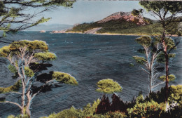 Delcampe - Cpsm  Porquerolles Anse Notre Dame - Porquerolles