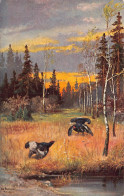 Delcampe - Sunset Landscape Pheasant Birds Forest Autumn Vintage Postcard - Autres & Non Classés