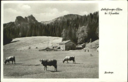Delcampe - Pfronten Ostallgaeu Bayern Schlossanger Alp - Pfronten
