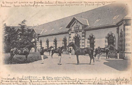 Delcampe - SAINT LO - Le Haras, Quelques Etalons - Très Bon état - Saint Lo
