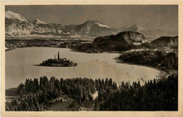 Delcampe - Veldes - Slowenien