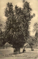 Delcampe - Congo - Dragonier Pres De Mopolenge - Ganzsache - Other & Unclassified