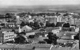 Delcampe - Algerie Sidi Bel Abbès Vue Générale (CPSM Carte Photo Bords Dentelés Format 9 X 14) 22 (scan Recto Verso) KEVREN619 - Sidi-bel-Abbes