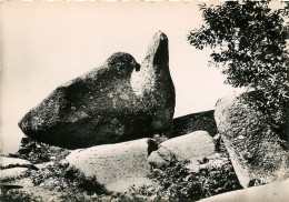 Delcampe - LE SIDOBRE Le Roc De L'oie 17 (scan Recto-verso) KEVREN0643 - Graulhet