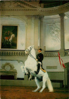 Delcampe - SPANISCHE HOFREITSCHULE - MORGENARBEIT MIT MUSIK UND FÜHRUNG WIEN Vienne Levade 15 ( Recto-verso)KEVREN0630 - Welt