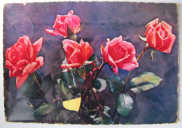 Delcampe - FLEURS - Roses - Fiori