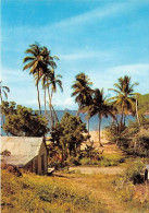 Delcampe - Rivage Caraibe 19(SCAN RECTO VERSO)MA0098 - Congo Belga