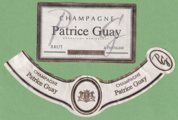 Delcampe - Gro 111 Étiquette Patrice Guay - Champagne