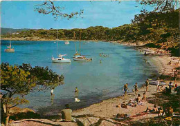 Delcampe - 83 - Ile De Porquerolles - La Plage D'Argent - CPM - Voir Scans Recto-Verso - Porquerolles