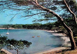 Delcampe - 83 - Ile De Porquerolles - La Plage D'Argent - CPM - Voir Scans Recto-Verso - Porquerolles