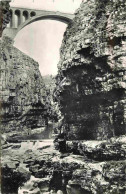 Delcampe - Algérie - Constantine - Les Gorges Et Le Pont Viaduc De Sidi-Rached - Mention Photographie Véritable - Carte Dentelée - - Constantine
