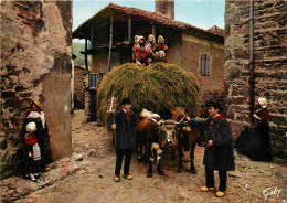 Delcampe - Animaux - Vaches - Auvergne - Groupe Folklorique Le Brusse De Brioude - Attelage Régional - Folklore - CPM - Carte Neuve - Kühe