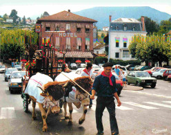 Delcampe - Animaux - Vaches - Pays Basque - Saint Jean De Pied De Port - Attelage Un Jour De Fête - Hotel - Automobiles - CPM - Voi - Kühe