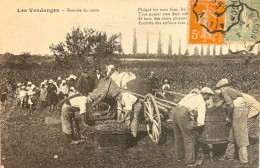 Delcampe - Les  Vendanges - Rentrée Du Raisin - Vines