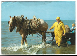 Delcampe - Belgique - Oostduinkerke - Pecheur De Crevettes  A Cheval - Oostduinkerke