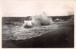 Delcampe - 35-PARAME-N°TB3583-E/0297 - Parame