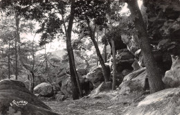 Delcampe - 45-MALESHERBES-N°TB3584-E/0201 - Malesherbes