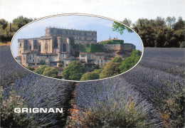 Delcampe - 26-GRIGNAN-LE CHATEAU-N°4519-D/0381 - Grignan