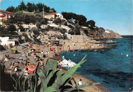 Delcampe - 83-CARQUEIRANNE-N°TB3604-C/0051 - Carqueiranne