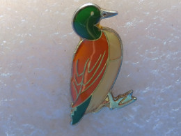 Delcampe - PINS - Ohne Zuordnung