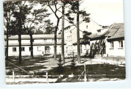 Delcampe - Zinnowitz Ostseebad Usedom Zinnowitz - Zinnowitz