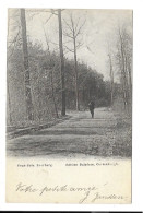 Delcampe - Everberg - Sous-Bois. - Kortenberg