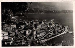 Delcampe - CPA Monte Carlo Monaco, Gesamtansicht - Other & Unclassified
