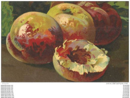 Delcampe - 14ch     CPA VELUE VELOUTEE PECHES FRUITS - Altri & Non Classificati