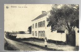 Delcampe - JM30.10.25 / CPA /  WATERLOO - LA  FERME DU CAILLOU - Waterloo