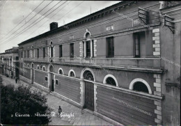 Delcampe - Ar496 Cartolina Lucera Ateneo R.bonghi Provincia Di Foggia - Foggia