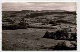 Delcampe - Hilders Rhoen - Hilders